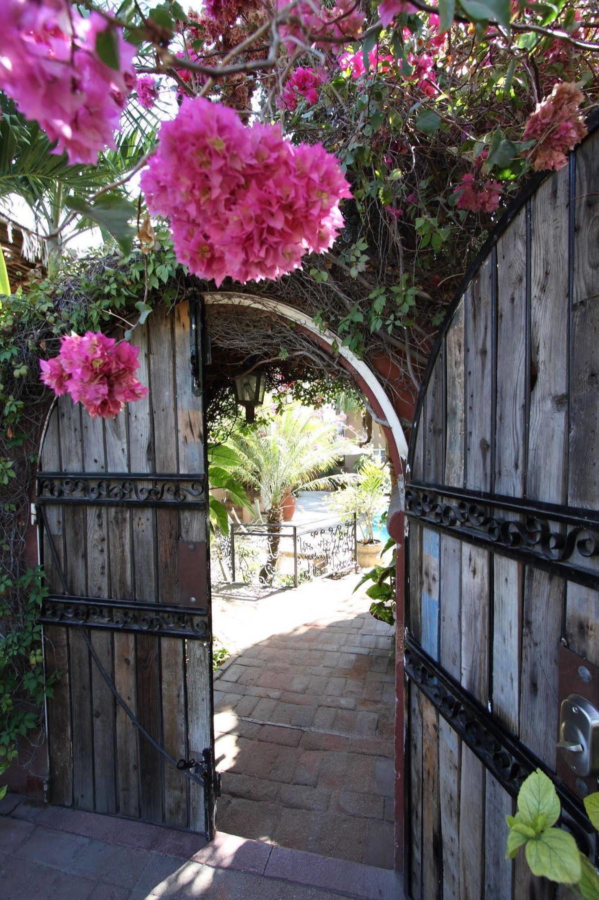 The Bungalows Hotel Cabo San Lucas Exterior photo
